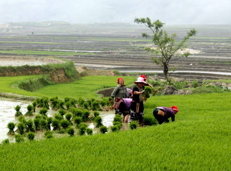 Lần đầu đi du lịch Sa Pa 